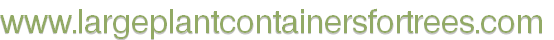 www.largeplantcontainersfortrees.com